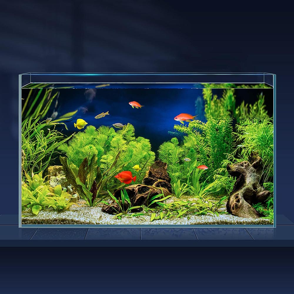 10-Gallon Rimless Ultra-Clear Glass Fish Tank Kit 10-Gallon Rimless Ultra-Clear Glass Fish Tank Kit